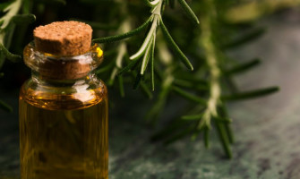 Rosemary Essential Oil Uses and Benefits